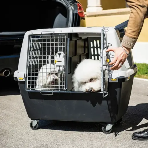 Inner divider panel for transport cage Gulliver Touring black Photo