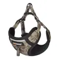 Dogness walking set leash+harness for dog (moro) Photo