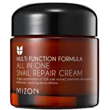 MIZON All in One Snail Repair Cream (75g)