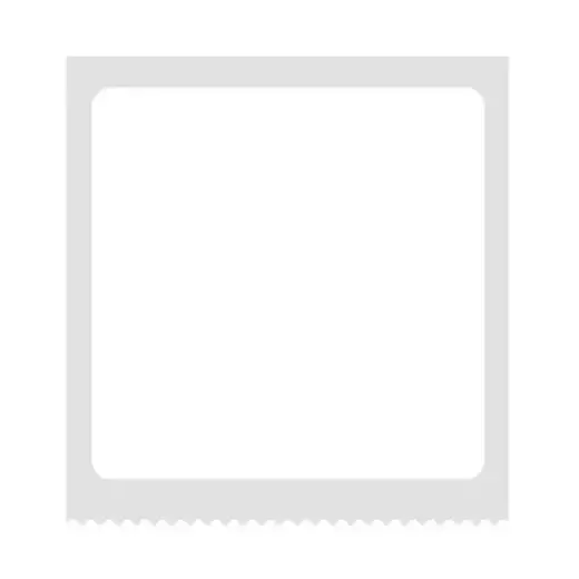 Thermal labels Niimbot stickers  T 40x40mm 180 psc (White) Foto 2