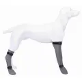 Socks with non-slip soles for dogs : Protective Sock, silicone, L: 10 cm|40 cm, grey Photo