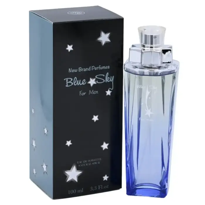 New Brand Blue Sky (EDT) туалетная вода для мужчин 100 мл