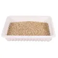 Zāle kaķēniem : Trixie Bio Cat Grass (bowl), 100 g Foto 2