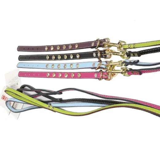 Поводок для собак с ошейником, длина 120 см Фото num