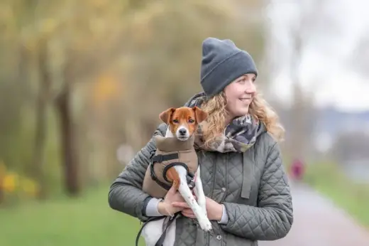 Apģērbs suņiem - Trixie Pirou winter coat with harness, S: 40 cm Foto 6