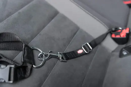 Auto pavada - Trixie Seatbelt for car harnesses, XS–S: 30–45 cm|20 mm Foto 10