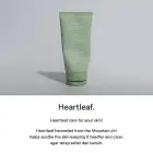 Abib Acne Foam Cleanser Heartleaf Foam 150 Ml Photo