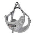 Dogness walking set leash+harness for dog (light gray) Фото num