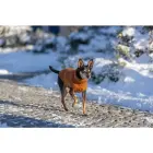 Apģērbs suņiem – Trixie CityStyle Berlin pullover, XS: 27 cm Foto 2