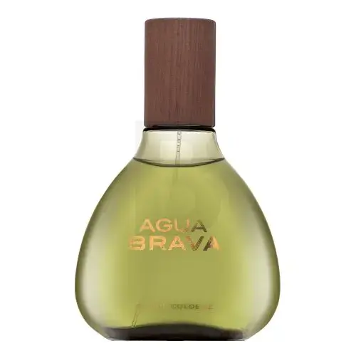 Puig Agua Brava (EDC) Cologne for Men 100 ml