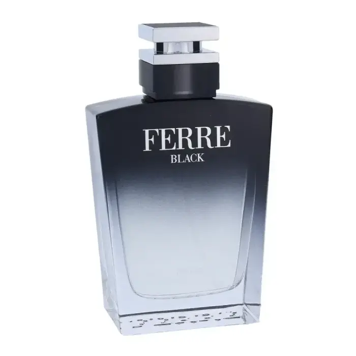 Gianfranco Ferre Ferre Black (EDT) туалетная вода для мужчин 100 мл