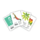 Bloks SMLT rūtiņu, A6 formāts, 50 lapas Foto 1