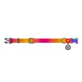 Waudog gradient nylon dog collar with QR code, orange , size L Фото num