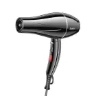 Hair dryer Hoco HP12 black Foto 1