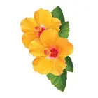 Chi by CHI CURLYCARE CURL CONDITIONER 12 OZ for UNISEX Фото num