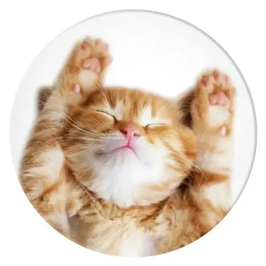 Popsockets 2 Snoozy Cat Holder and Phone Stand Photo