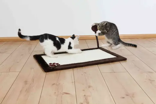 Nagu asināmais : Trixie Scratching mat with plush border, 70 × 45 cm, dark brown Foto 5
