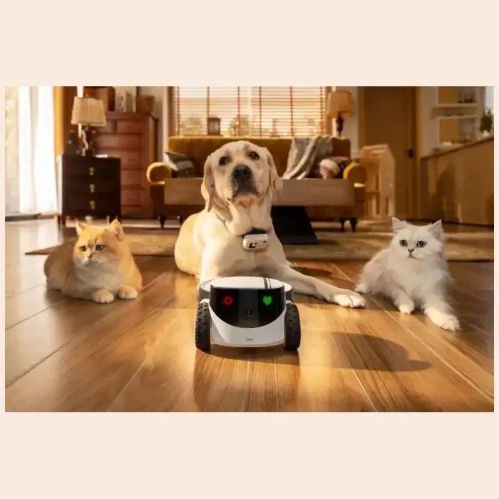 Intelligent companion robot ENABOT   PetPal Фото num