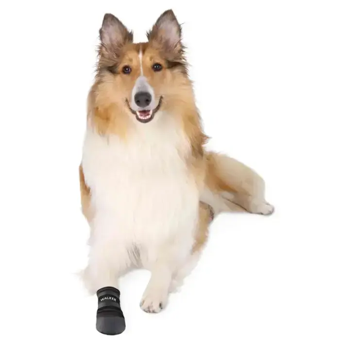 Aizsardzības apavi suņiem - Trixie Walker Care Protective Boots "M" 2pcs, Border Collie Photo