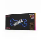 Neon PLEXI LED GARAGE blue white NNE22 Neolia Photo