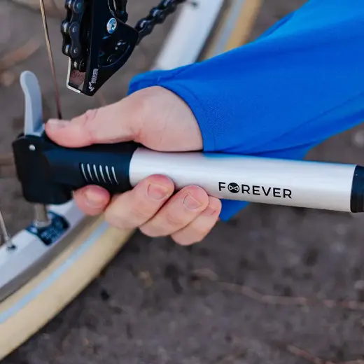 Bike frame pump PU-100 Photo