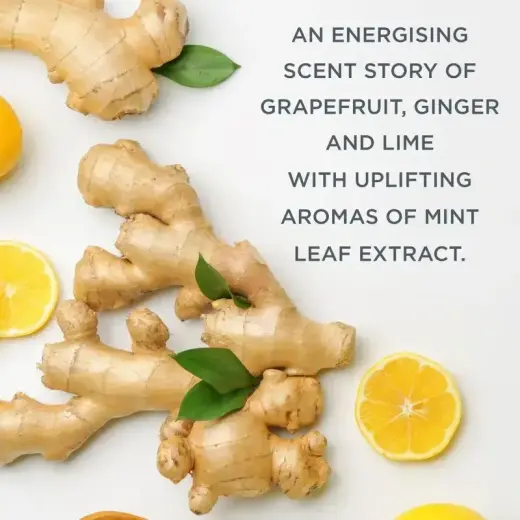 Baylis & Harding Wellness. for Men. Revive Gift Set for the Bath for Men Foto 4