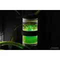 Alphacool Eiswasser Crystal Green UV-aktīvā dzesēšanas šķidruma maisījums 1000ml Foto 2
