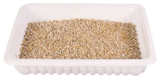 Zāle kaķēniem : Trixie Bio Cat Grass (bowl), 100 g Foto 2