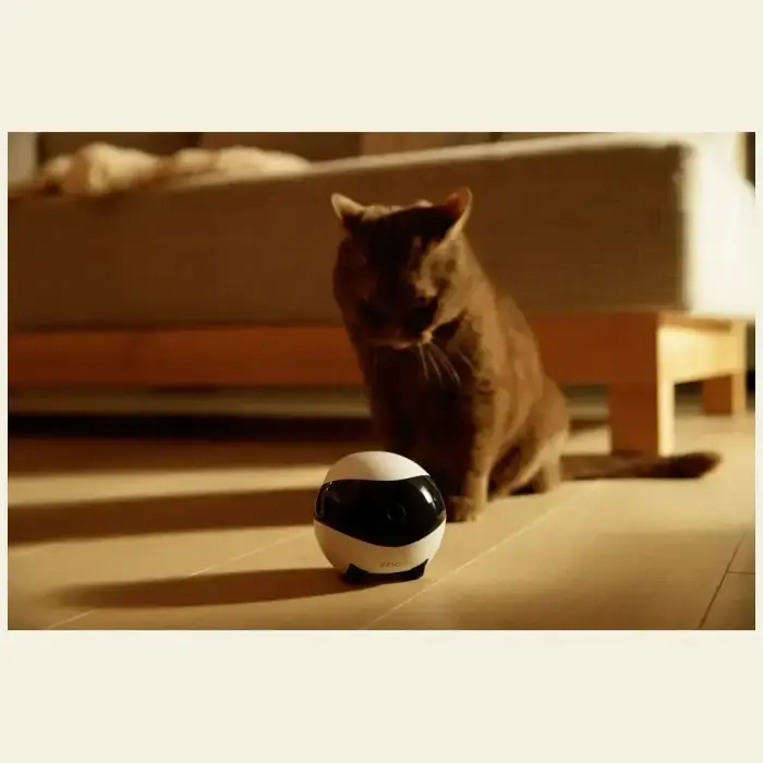 Intelligent companion robot ENABOT   EBO SE Foto 8