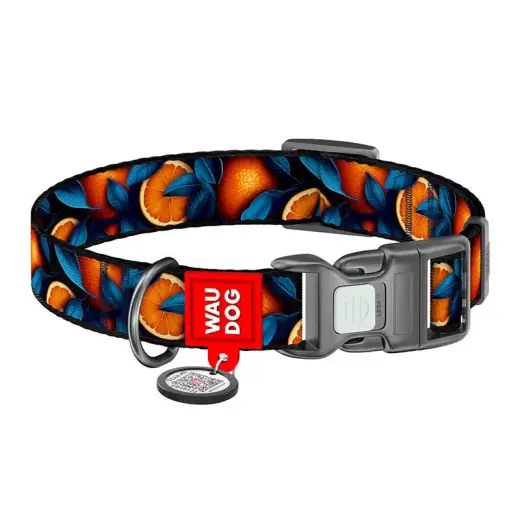 Waudog "Oranges" nylon dog collar with QR code, size XL Фото num