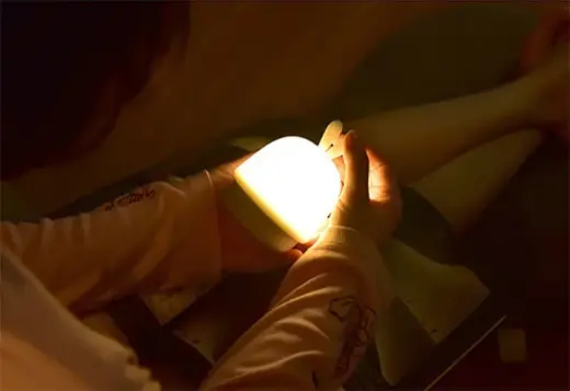 Night lamp W-008 Mushroom white Photo