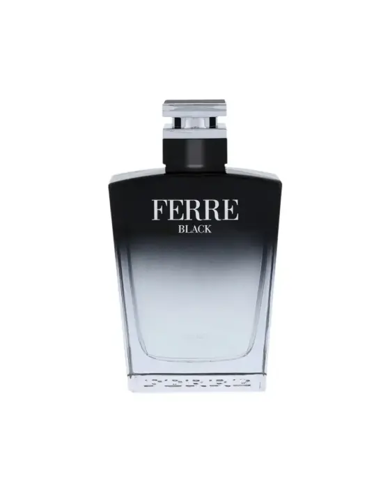 Gianfranco Ferre, Ferre Black, Eau De Toilette, For Men, 100 ml *Tester