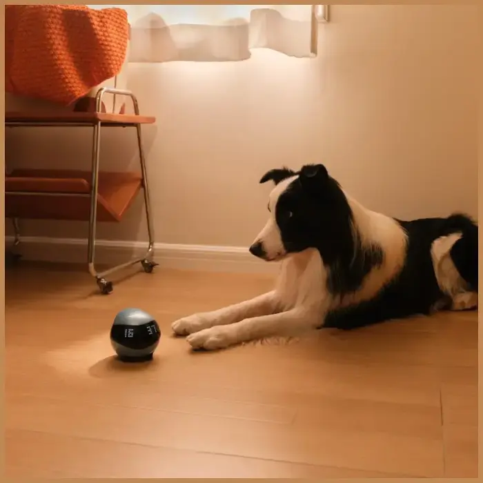 Intelligent companion robot ENABOT   EBO Air2 white Фото num