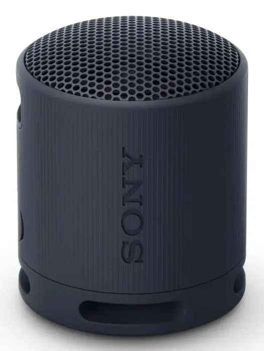 SRS-XB100 Black