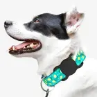 Apple AirTag Silicone Case for Dog or Cat Collar - Black Photo