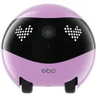 Intelligent companion robot ENABOT   EBO Air2 pink Фото num