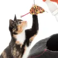 Cat Attractant : Beaphar Play Spray 150ml. Photo