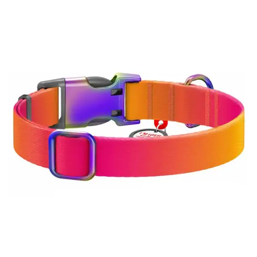 Nylon dog collar with QR code WAUDOG 15 mm wide, 25-35 cm long orange Фото num