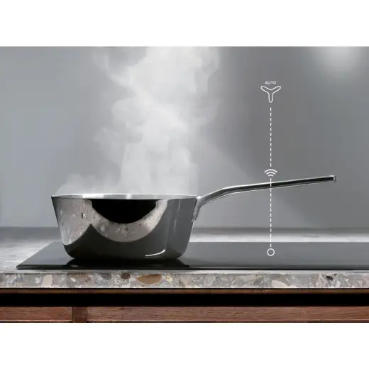 Electrolux tvaika nosūcējs Photo