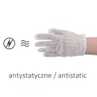 Antistatic safety gloves size L Photo