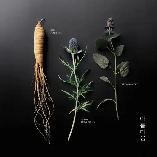 KORIKA Korean Heritage Ginseng & Marine Stem Cells Firming Eye Mask 2pcs Foto 4