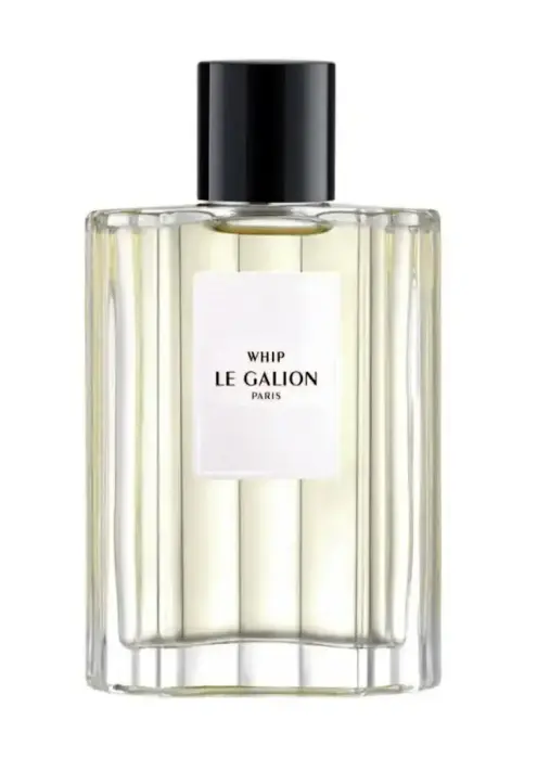 LE GALION WHIP EDP 100 ML