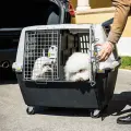 Inner divider panel for transport cage Gulliver Touring black Photo
