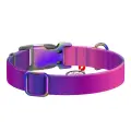 Nylon dog collar with QR code WAUDOG 15 mm wide, 25-35 cm long purple Foto 3