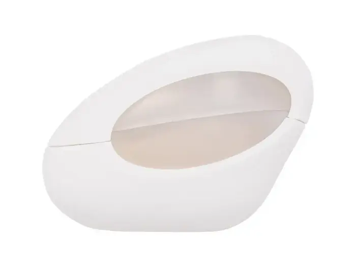 Ariana Grande Mod Vanilla (EDP) parfimērijas ūdens sievietēm 100 ml