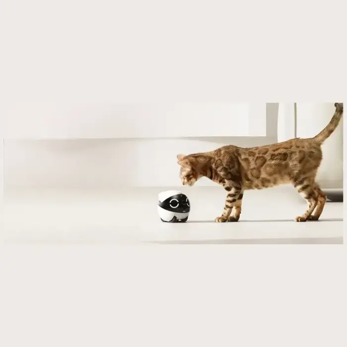 Intelligent companion robot ENABOT   ROLAMINI Фото num