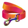 WAUDOG gradient nylon dog leash, 15mm wide, 122cm long, orange Photo