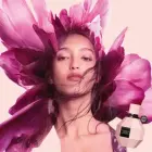 Viktor and Rolf Flowerbomb Extreme Intense Eau De Parfum - Clear Фото num