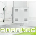 Body analysis scales Shape Sense Connect Lite Photo