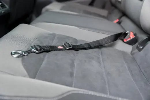 TRX 13 Replacement Short Lead 45-70cm|25mm, Pavada suņiem Foto 11